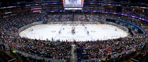 Orlando Solar Bears <span class="highlight"></span>