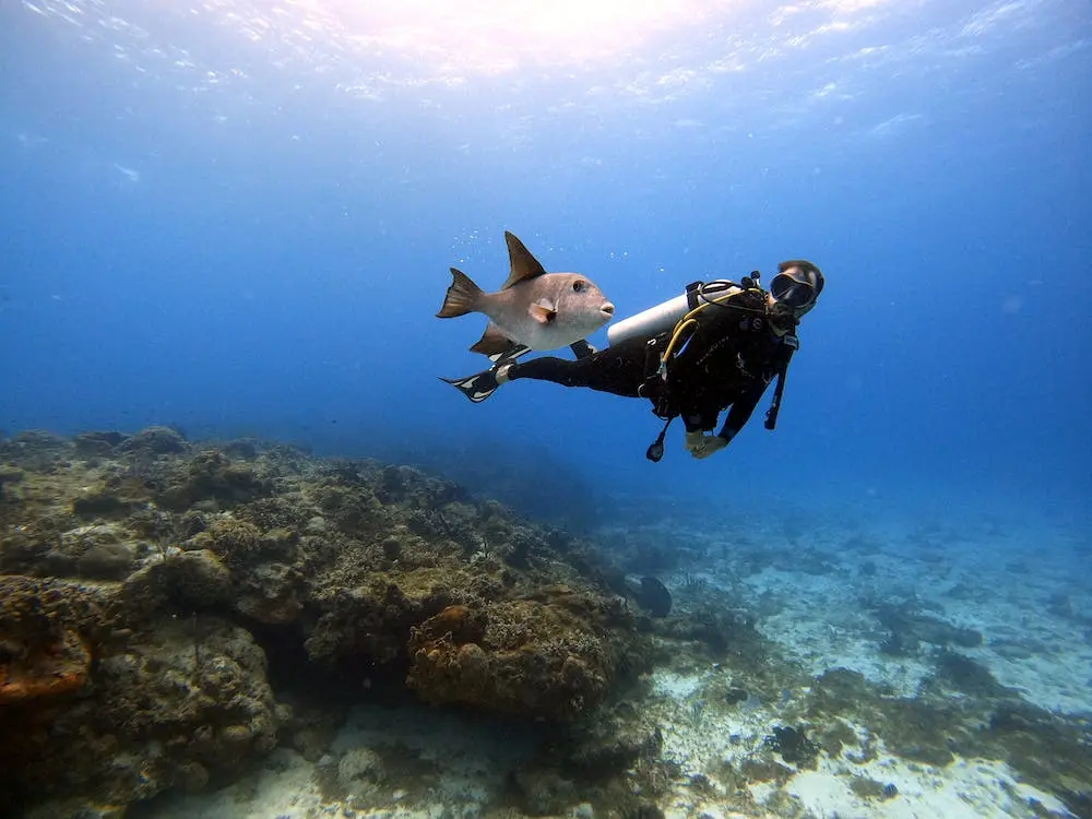 Cozumel