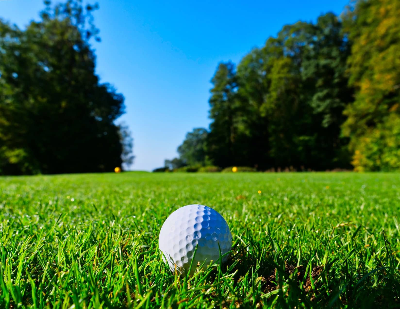 PGA <span class="highlight">Championship</span>