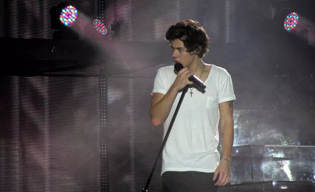 Harry <span class="highlight">Styles</span>