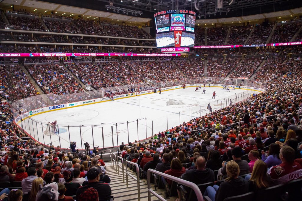 Arizona Coyotes
