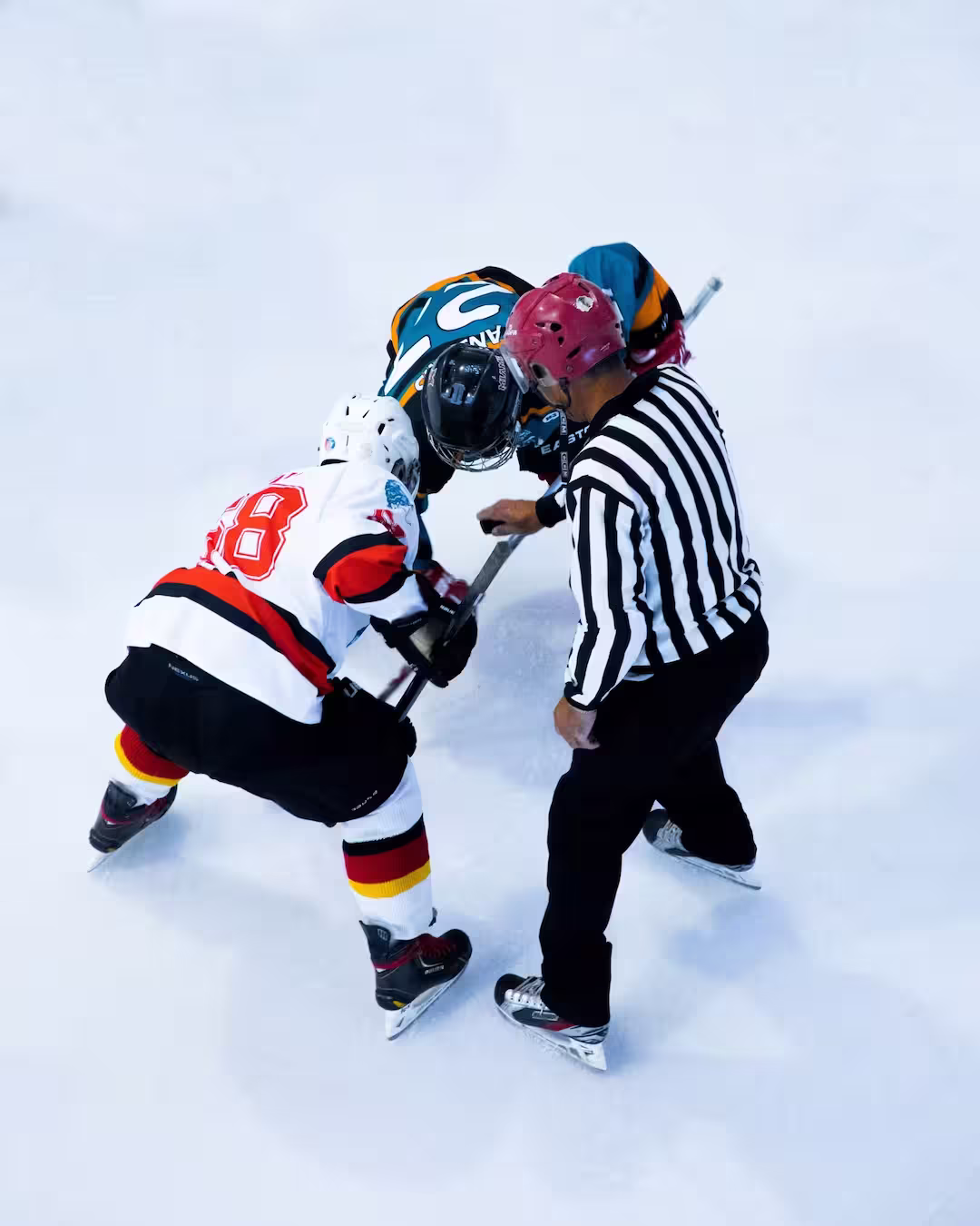 Paquete Manitoba Moose vs Texas Stars